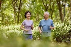 麻将判断能力总结（麻将决策能力概述）