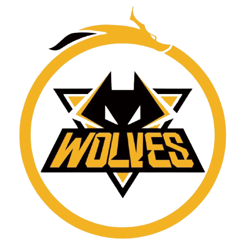 广州队凭借 广州队凭借